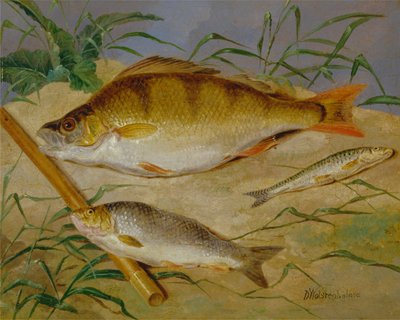 La captura de peces de un pescador de Dean Wolstenholme